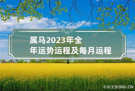 1978属马2023年运程|1978年属马人2023年全年运势详解 45岁生肖马2023年。